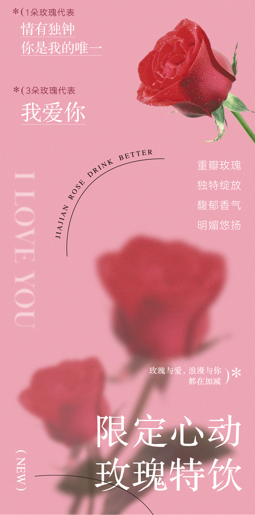 20230815-玫瑰花-推文_02.gif