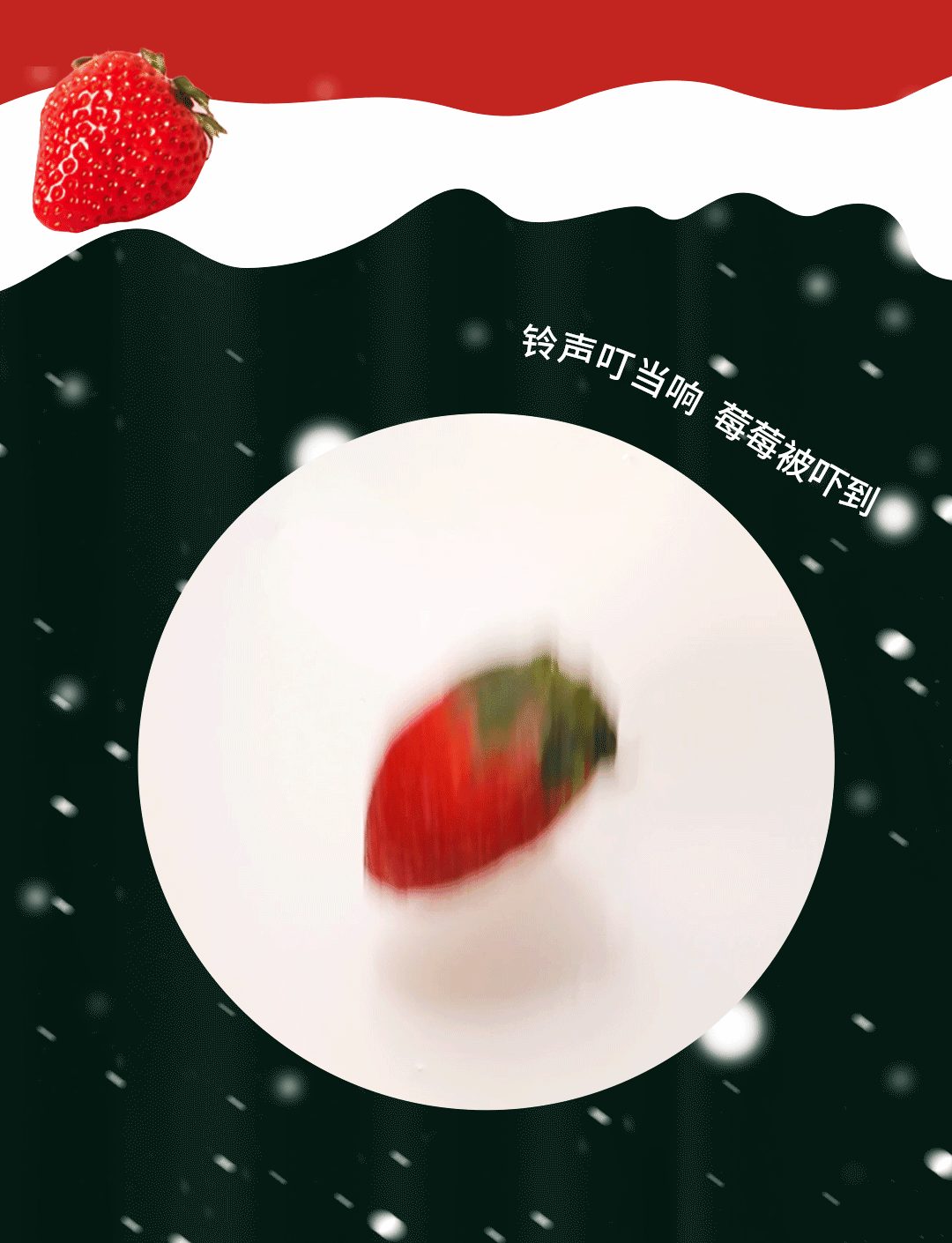 圣诞草莓新品推文 (5).gif